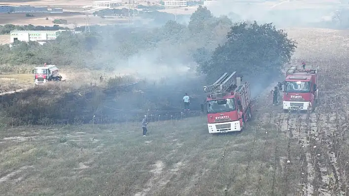 Tekirdağ’da korkutan orman yangını