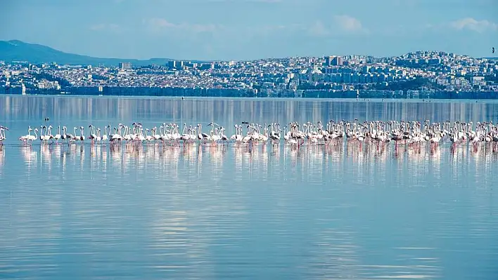 Temiz körfez için tarihi adımlar İZSU’dan