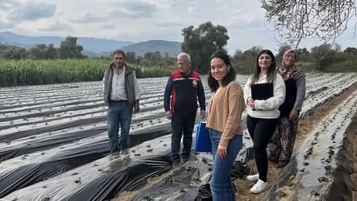 Tire'de Organik Tarım Sahalarında Üretici Ziyaretleri Gerçekleştirildi