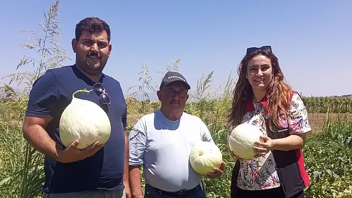Tire'de Tarım Müdürlüğü Üç Mahallede Hasatlara Eşlik Etti