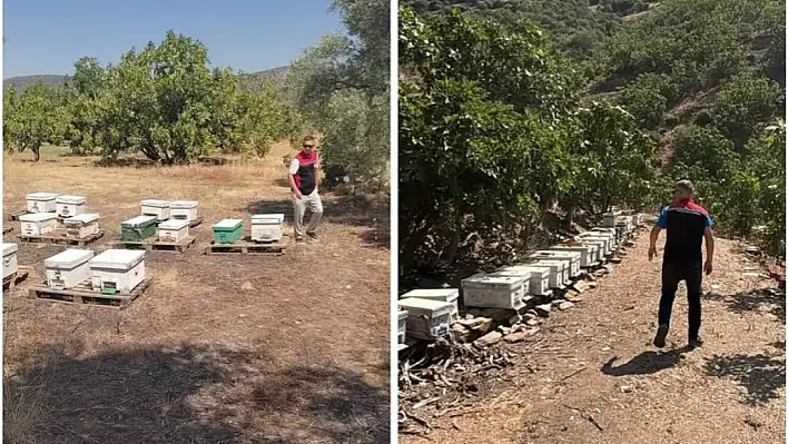 Tire İlçe Tarım ve Orman Müdürlüğü'nden Kapsamlı Denetim ve Tespit Çalışmaları