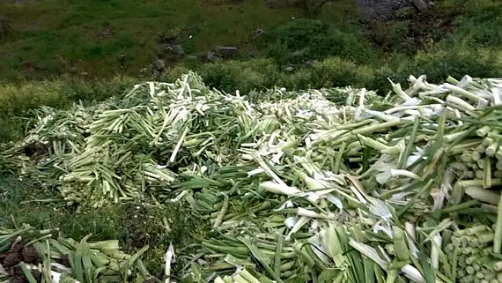 Tonlarca Pırasanın İsrafı Tepki Çekti