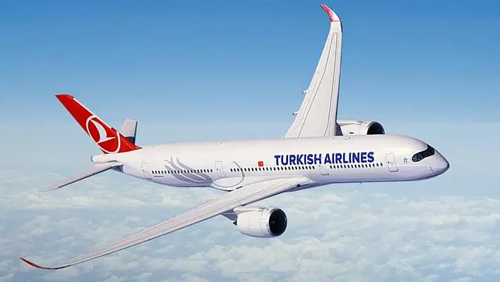Türk Hava Yolları Siirt-İstanbul uçağı acil iniş yaptı