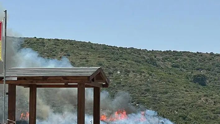 Urla'da orman yangını