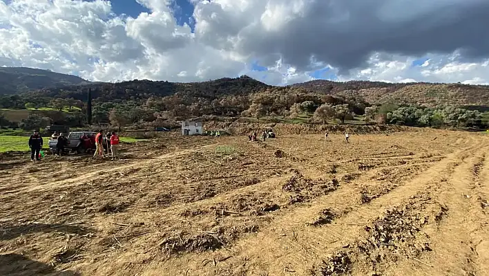 Üzümlü Mahallesi'nde Yangın Sonrası Fidan Dikimiyle Doğa Yeniden Hayat Buluyor