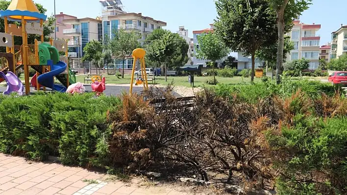 Vandallar şehit Eren Bülbül Parkı'na saldırdı