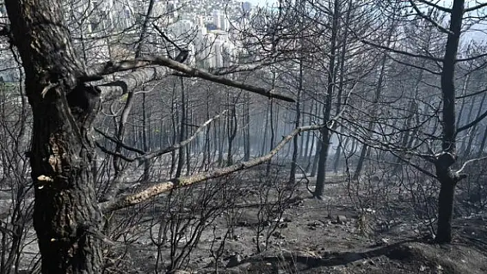 Yangın sonrası yabancı uyruklu kadın gözaltına alındı