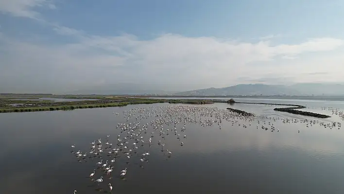 Yaşayan Körfez programı ile Körfez'deki iyileşme hızlandı