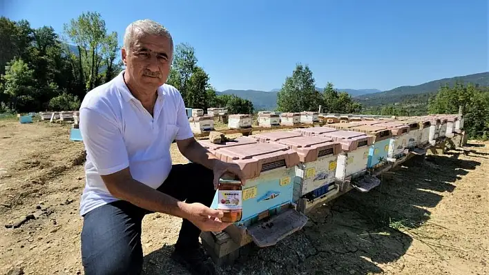 Yenice Ihlamur Balı coğrafi işaretle tescillendi