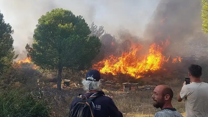 Yine bir orman yangını: Yer Datça