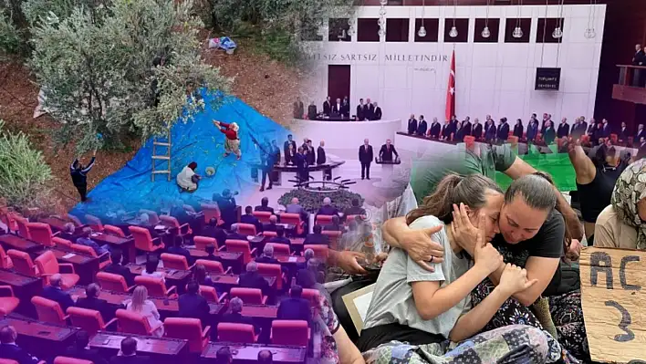 Zeytinliklerde Madencilik Tartışması: TBMM'den Yeşil Işık