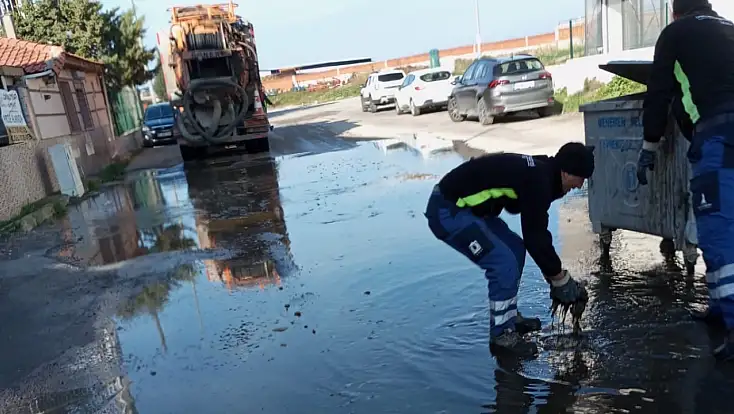 GAZİ MUSTAFA KEMAL MAHALLESİ’NDE KANALİZASYON ÇİLESİ: ÖĞRENCİLER PİS SU İÇİNDE OKULA GİDİYOR
