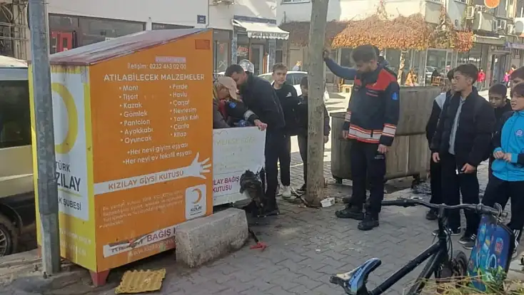 ÖDEMİŞ’TE KIZILAY BAĞIŞ KUTUSUNA SIKIŞAN KEDİ KURTARILDI