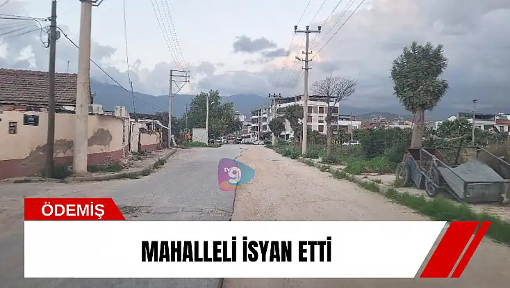 Mahalleli isyan etti