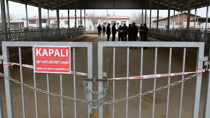 Ödemiş’te şap hastalığı kısıtlamaları güncellendi