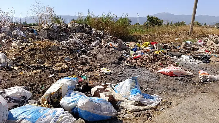 ÜÇ EYLÜL MAHALLESİ’NDE ÖLÜ HAYVANLAR VE İNŞAAT ATIKLARI TEHLİKE SAÇIYOR