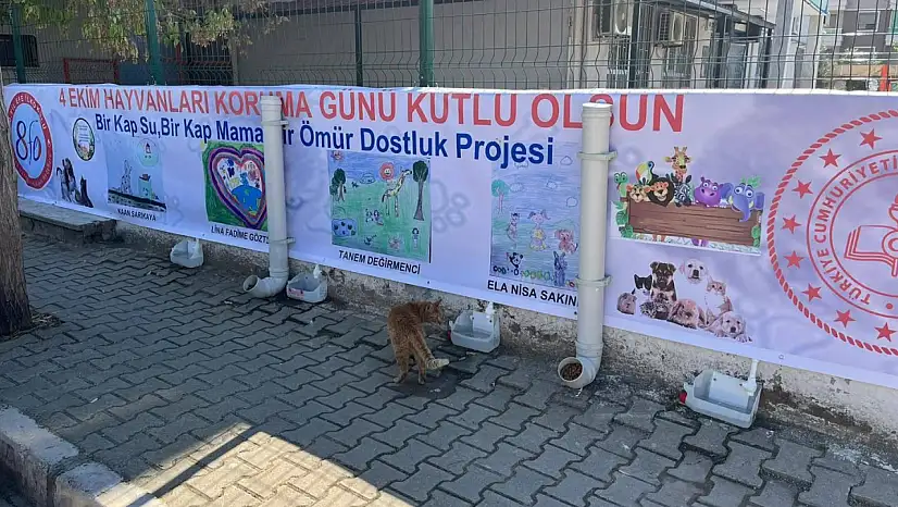 80. Yıl Efe İlkokulundan Anlamlı Proje: 'Bir Kap Su, Bir Kap Mama, Bir Ömür Dostluk'