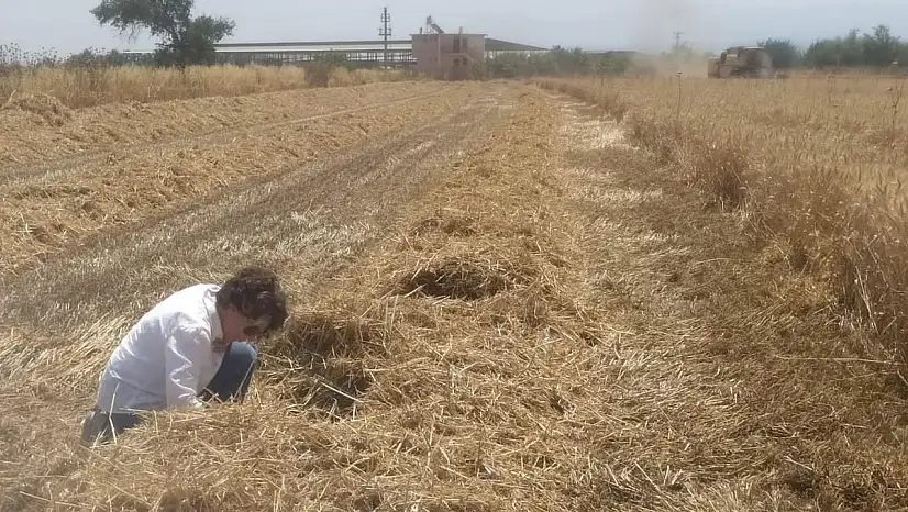 Bayındır'da Hasat Dönemi İçin Biçerdöver Denetimleri Sürüyor