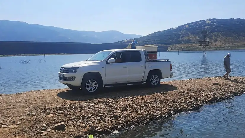 Beydağ Baraj Göletine 475 Bin Sazan Balığı Bırakıldı