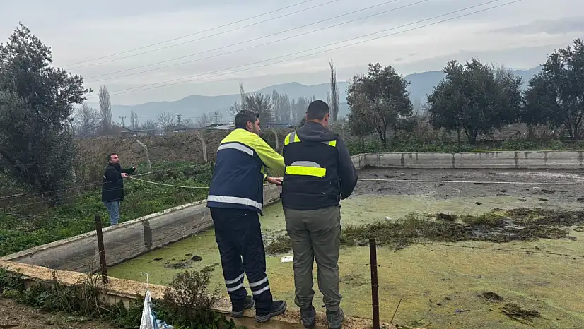 HAVUZDA MAHSUR KALAN TİLKİYİ, TİRE BELEDİYESİ EKİPLERİ KURTARDI