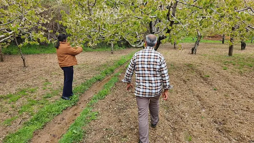 Kiraz İlçe Tarım ve Orman Müdürlüğü Umurlu Mahallesi'nde Sahada
