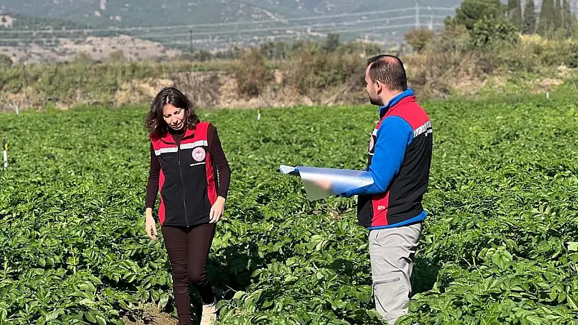Ödemiş'te İyi Tarım Uygulamaları Denetimleri Sürüyor