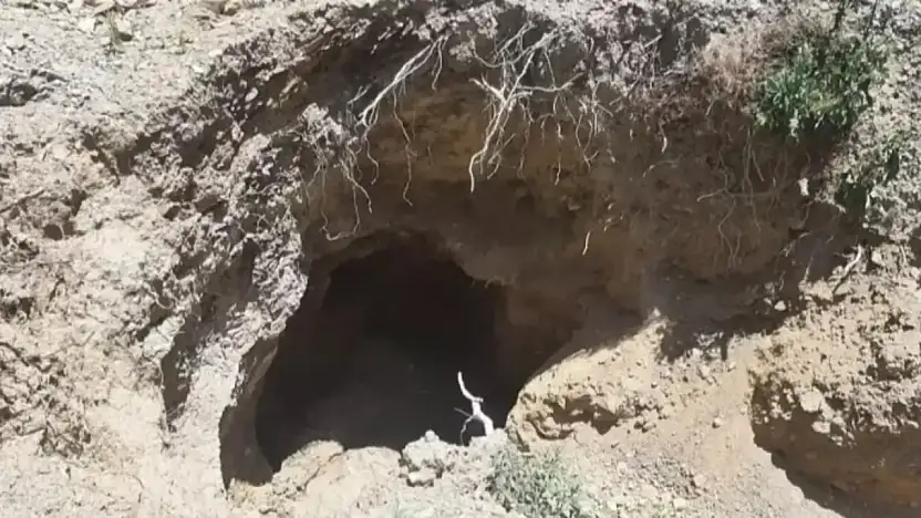 Ödemiş'te Yürekleri Ağıza Getiren Kurtarma: 80 Yaşındaki Adam 10 Metrelik Kuyudan Canlı Çıkarıldı