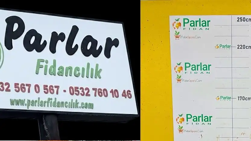 Ödemiş'ten 15 Ülkeye Yeşeren Başarı: Parlar Fidancılık