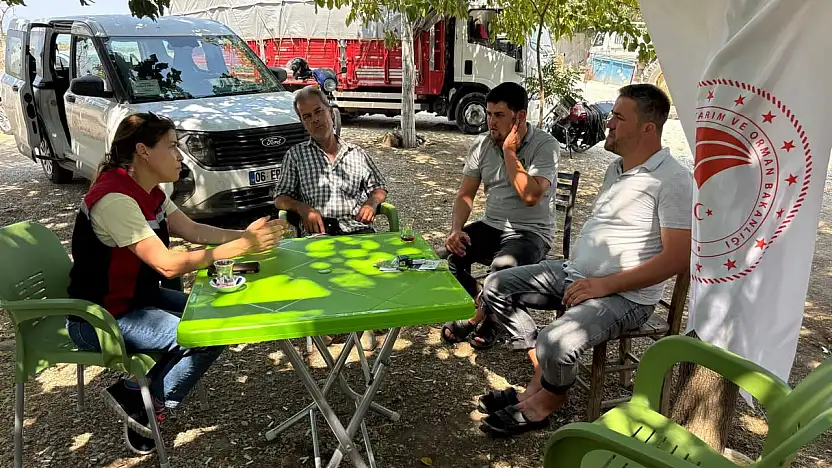 Tire İlçe Tarım Müdürlüğü'nden Kireli'de Üreticilere Hastalık ve Ari İşletme Bilgilendirmesi