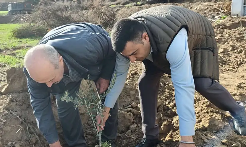 BBP Ödemiş İlçe Teşkilatından Üzümlü Mahallesi'nde Anlamlı Fidan Dikimi