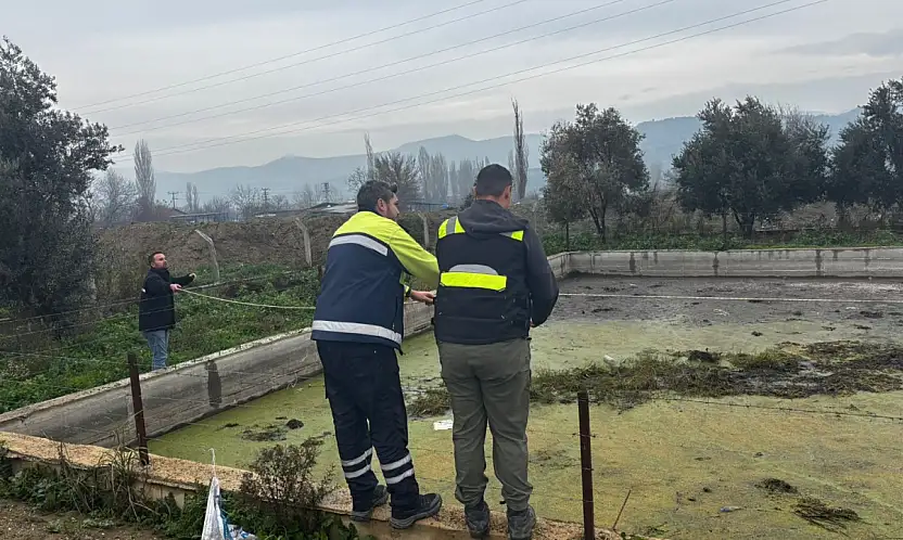 HAVUZDA MAHSUR KALAN TİLKİYİ, TİRE BELEDİYESİ EKİPLERİ KURTARDI