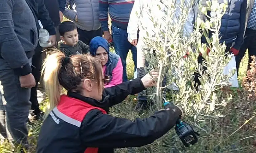 KİRAZ'DA ZEYTİN YETİŞTİRİCİLİĞİ KURSU DÜZENLENDİ