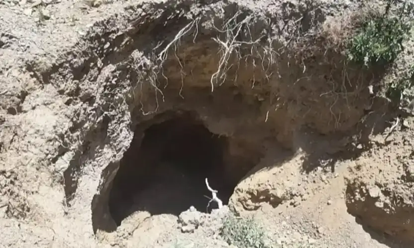 Ödemiş'te Yürekleri Ağıza Getiren Kurtarma: 80 Yaşındaki Adam 10 Metrelik Kuyudan Canlı Çıkarıldı