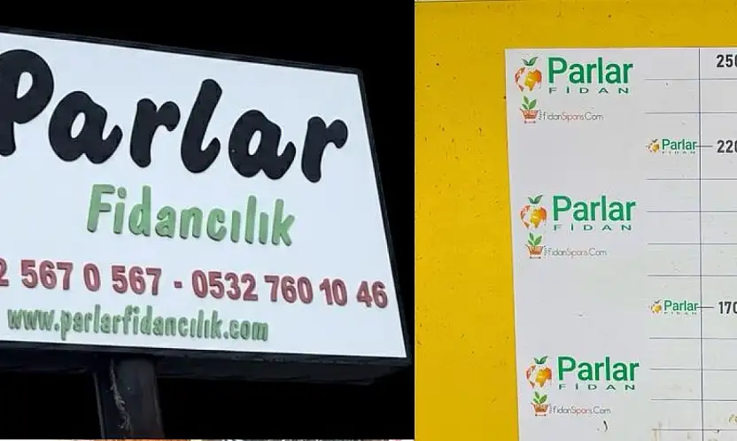 Ödemiş'ten 15 Ülkeye Yeşeren Başarı: Parlar Fidancılık