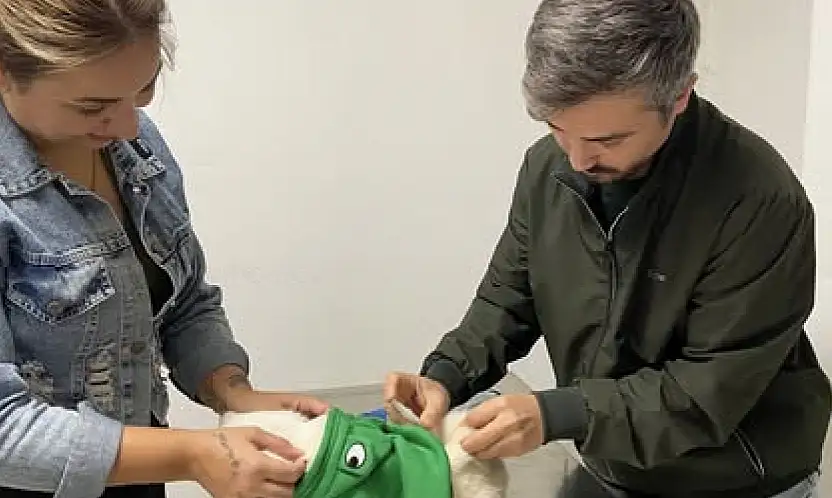 Tire İlçe Tarım ve Orman Müdürlüğü'nden Evcil Hayvan Sahiplerine Çağrı