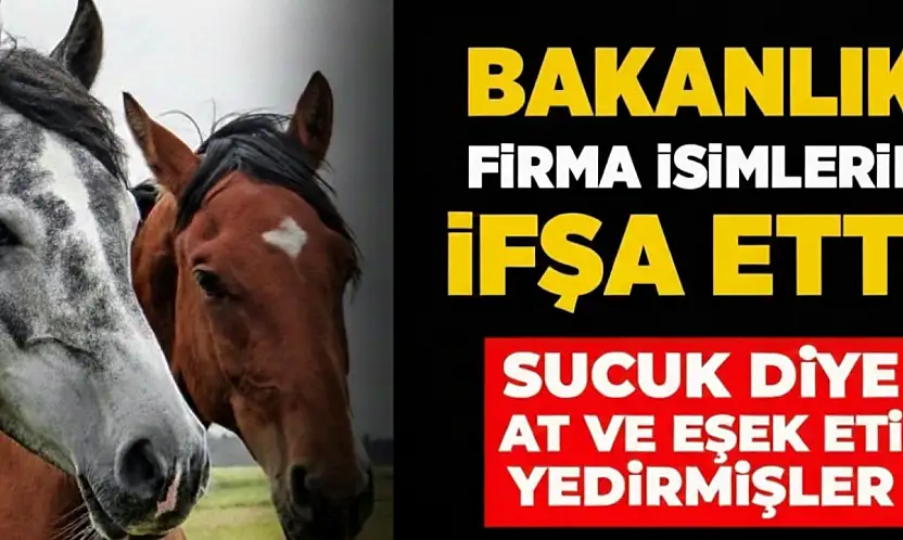 VATANDAŞA AT ETİ YEDİRMİŞLER! BAKANLIK MARKAYI VE ÜRETİLDİĞİ İLİ AÇIKLADI